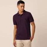 polo rplh regular fit embroidered purple polo for men