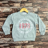 zr 1978 Light grey sweat shirts for kids
